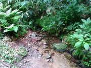 マスタングさんの太平山の投稿写真3