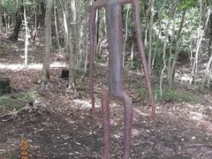 もんきちさんの鹿児島県霧島アートの森への投稿写真1