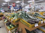 なべきちさんのゆ〜さ浅虫の投稿写真2