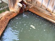 まさとんちんさんの日中温泉の投稿写真1
