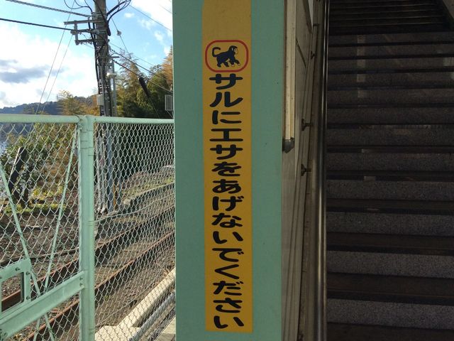 サルが現れる??_JR根府川駅