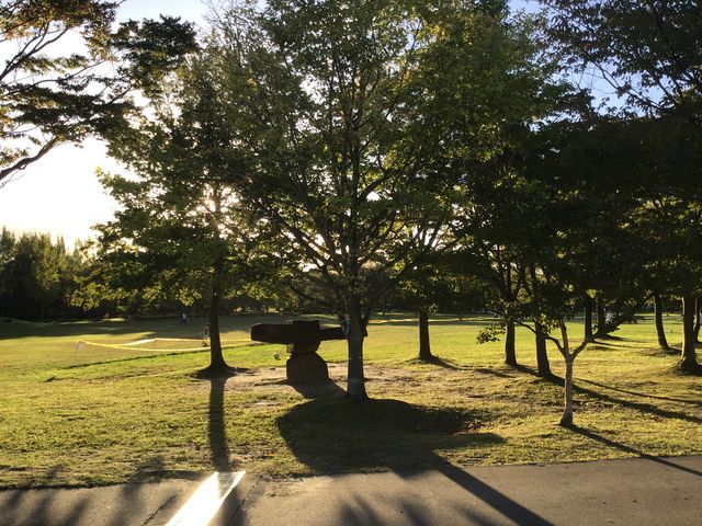 木漏れ日と園内_七北田公園