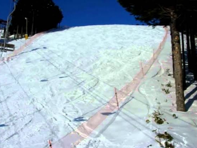 富良野の雪はふわっふわ_富良野スキー場