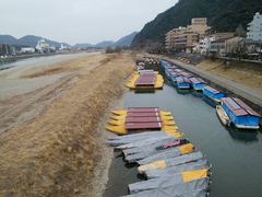 こうむさんの長良川鵜飼観覧船への投稿写真1