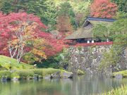 真ちゃんさんの古峯園の投稿写真1