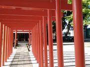 halさんの箭弓稲荷神社の投稿写真2