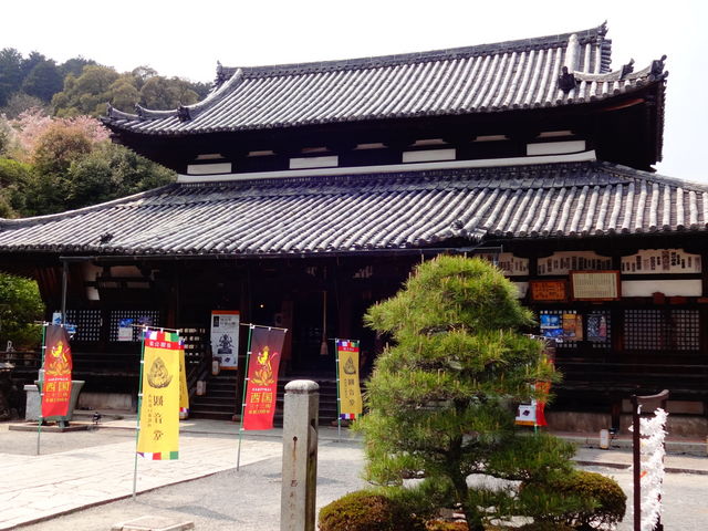 三井寺観音堂_三井寺観音堂