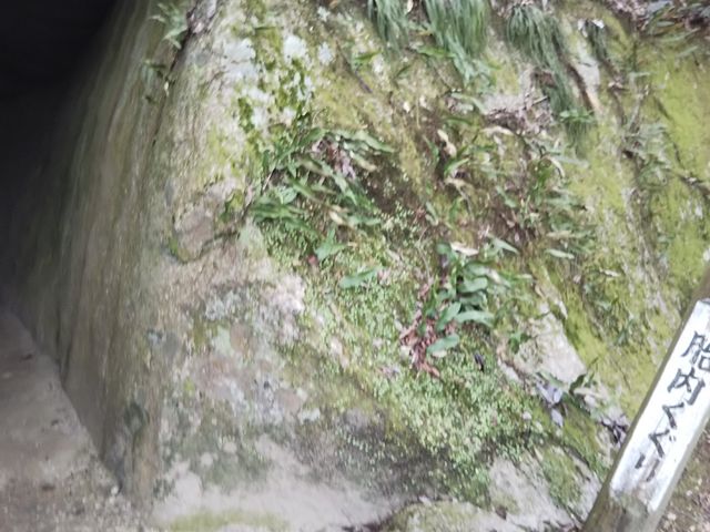 笠置寺