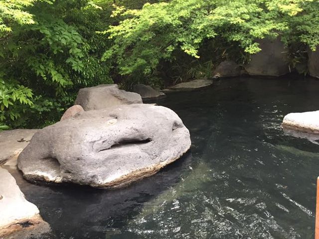樹やしき:露天風呂_旅館 松乃井 離れ樹やしき