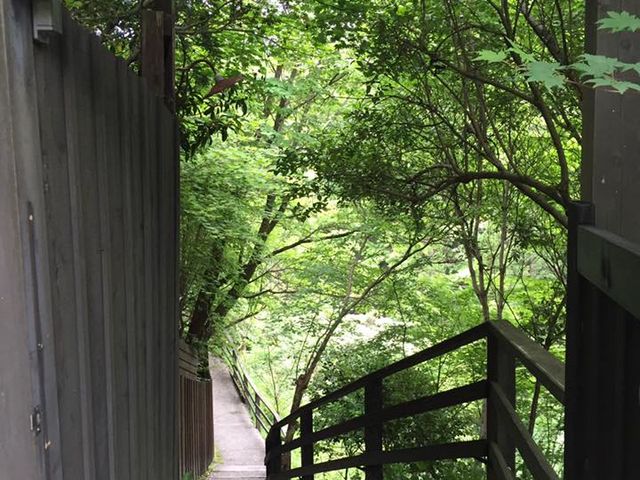 樹やしき1露天風呂への外階段通路_旅館 松乃井 離れ樹やしき