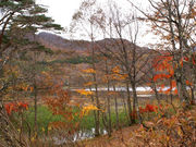 okeiさんの観音沼森林公園の投稿写真1