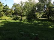 たかちゃんさんの国木田独歩の碑の投稿写真3