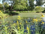 たかちゃんさんの国木田独歩の碑の投稿写真4