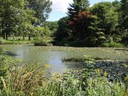 たかちゃんさんの石川啄木の碑の投稿写真1