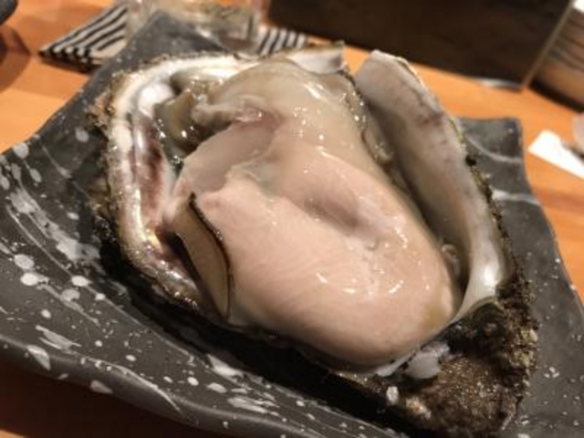 岩ガキ_はざど