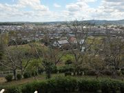 しちのすけさんの神楽尾公園の投稿写真1