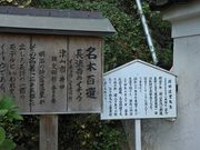 しちのすけさんの長法寺のイチョウの投稿写真1