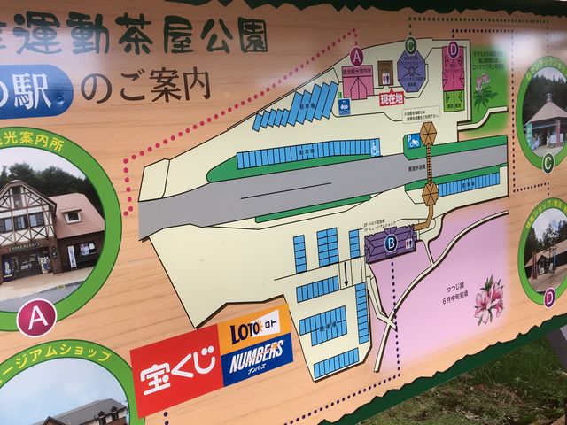 案内図_運動茶屋公園
