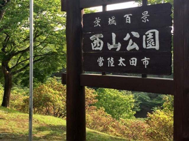公園_西山公園(茨城県常陸太田市)