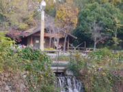 こうむさんの清水緑地の投稿写真2