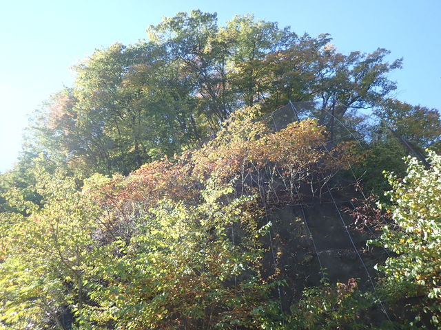 妙義紅葉ライン