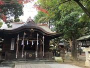 かめさんの川口神社の投稿写真1