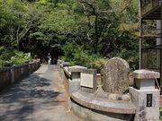 Yanwenliさんの布引貯水池の投稿写真1