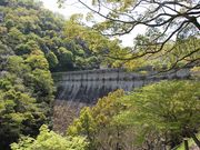 Yanwenliさんの布引貯水池の投稿写真5