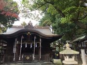 かめさんの川口神社の投稿写真1