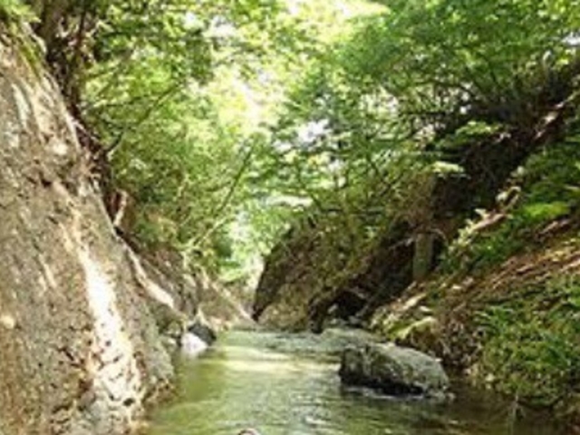 大満足_キャニオンズ