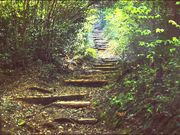 hirariさんの熊野古道の投稿写真1