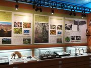 mon-tさんの那須野が原博物館の投稿写真3