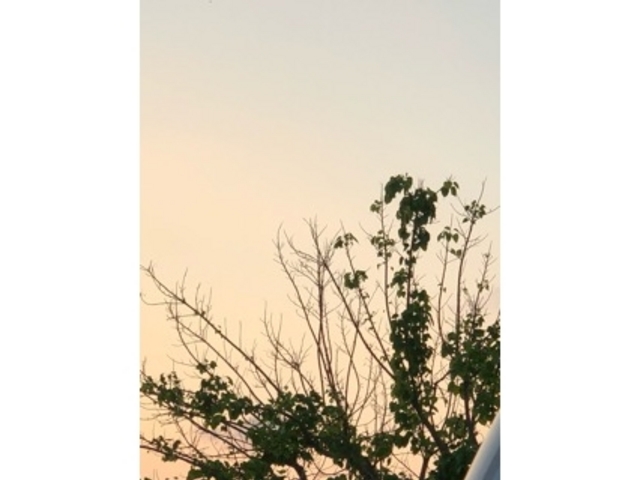 夕方_西山公園(茨城県常陸太田市)