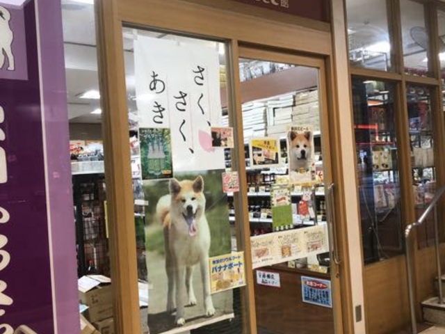 外観_秋田ふるさと館