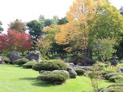 たかちゃんさんの開拓記念羽衣公園の投稿写真2
