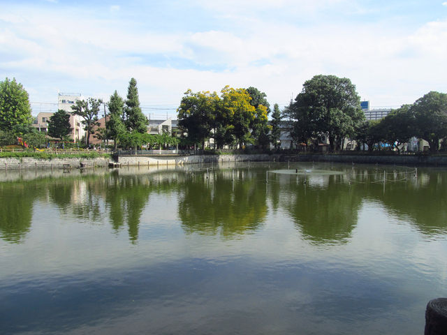 弁天池_碑文谷公園