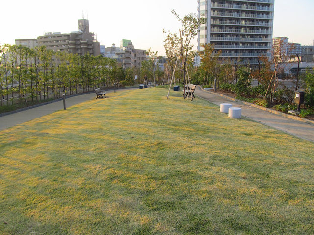 芝生広場_目黒天空庭園