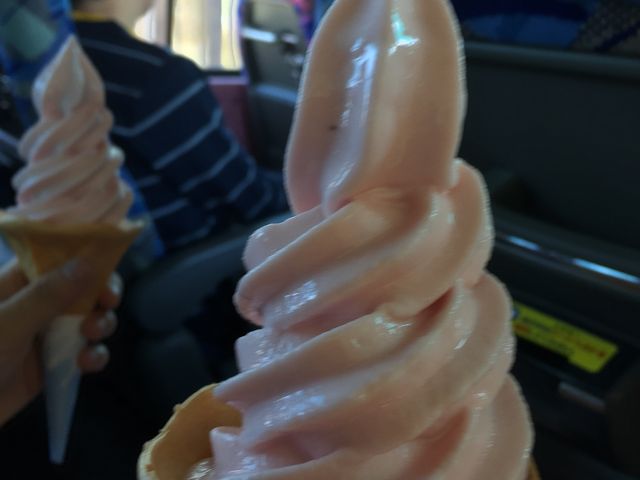 コケモモのソフトクリーム_夢喰間 道の駅さるふつ公園売店