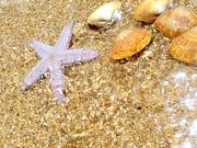 まゆぅ☆ミさんの二色の浜海水浴場の投稿写真3