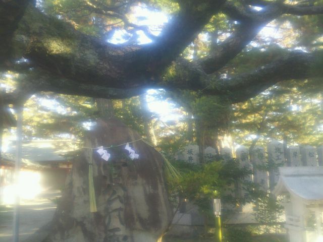 2代目加古の浜松_浜宮天神社