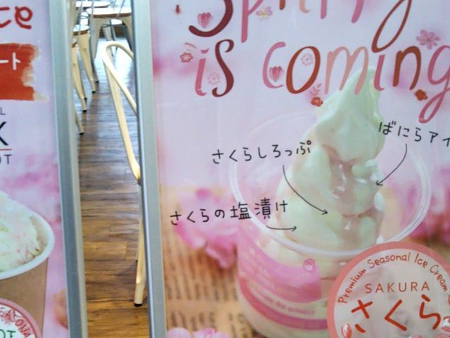 『Spring is coming 』。_伊豆高原プリンマリンタウン店