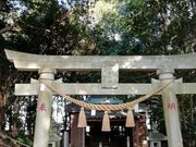 DoubleO7さんの八社大神の投稿写真1