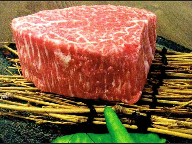 シャトーブリアン!めちゃくちゃ美味しかった!!_炭火焼肉 田園