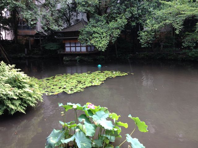 お庭_浮月楼
