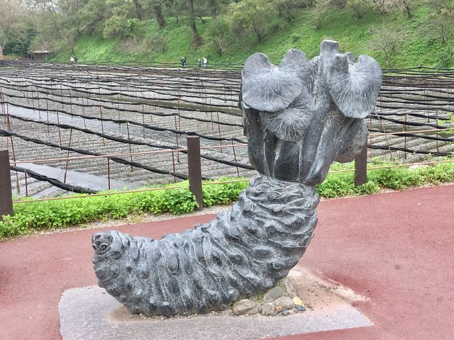 わさびオブジェ_大王わさび農場 第1売店
