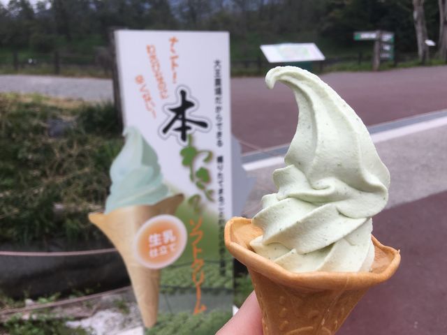売店でお土産を買った後は外のテイクアウトで本わさびソフトクリーム食べました_大王わさび農場 第1売店