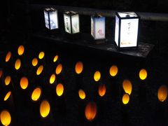 京王百草園の写真1