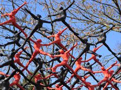 彫刻の森美術館の写真1