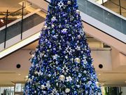 akariさんのMARK IS みなとみらいの投稿写真1