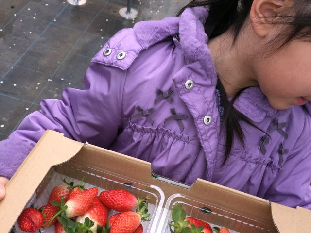 大喜びの娘です_農業庭園たわわ
